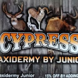 Cypress Taxidermy By Jr