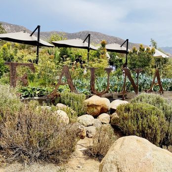 Bruma - Entrance - Wineries Near Me - Ensenada, BCN