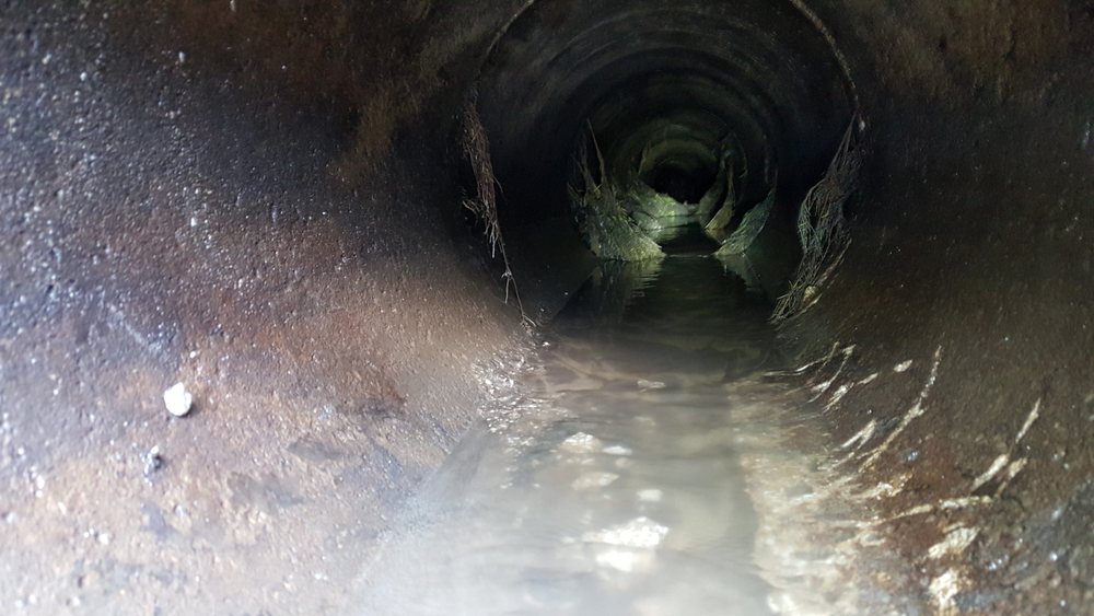 Slide of Roto-Rooter Sewer & Drain Service