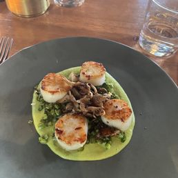 Sea scallops and asparagus purée