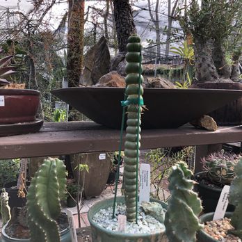 California Cactus Center - Nurseries & Gardening Near Me - Pasadena, California