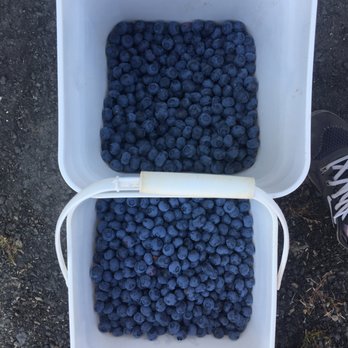 Emma Lea Farms - 2018 - Fruits & Veggies Near Me - Delta, British Columbia Emma Lea Farms - 2018 - Fruits & Veggies Near Me - Delta, British Columbia