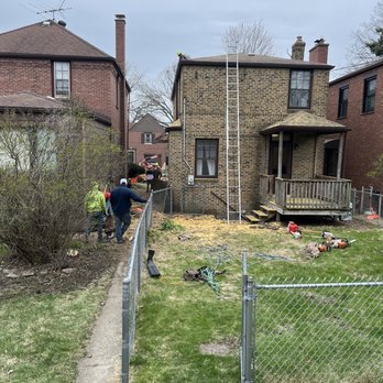 Meca Tree Service - Tree removal completion and cleanup. - Tree Services Near Me