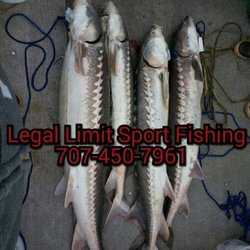 Legal Limit Sport Fishing