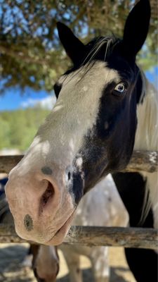 Lost Creek Ranch & Spa by null