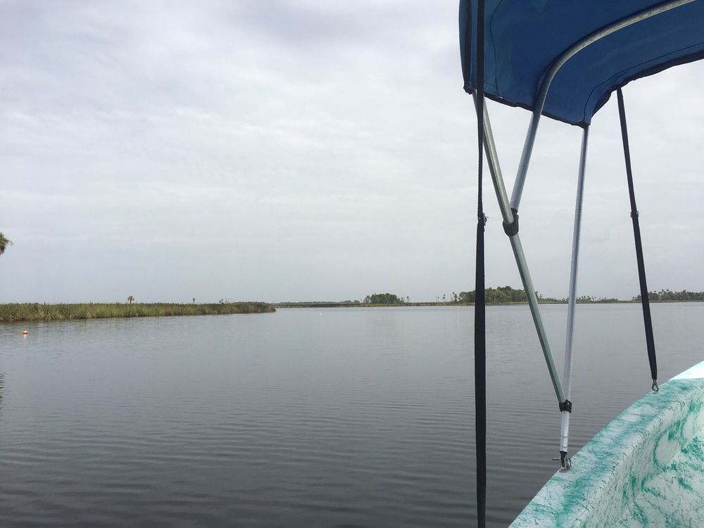 Manatee Tours And More Logo