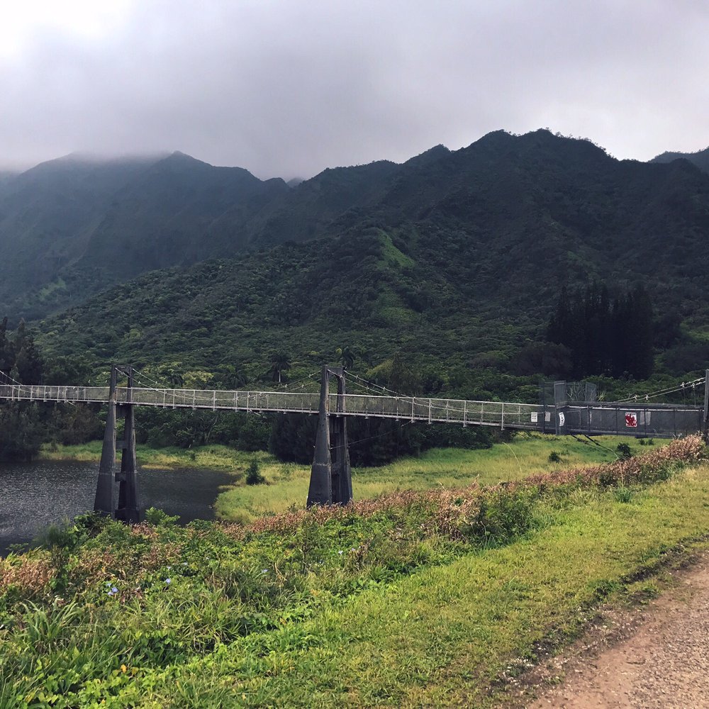 Lulumahu Falls - The bridge you will see when you're walking through the valley - Hiking Near Me - Honolulu, Hawaii Lulumahu Falls - The bridge you will see when you're walking through the valley - Hiking Near Me - Honolulu, Hawaii