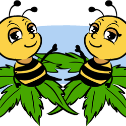 B BUDS - Burnside Cannabis friendly faces