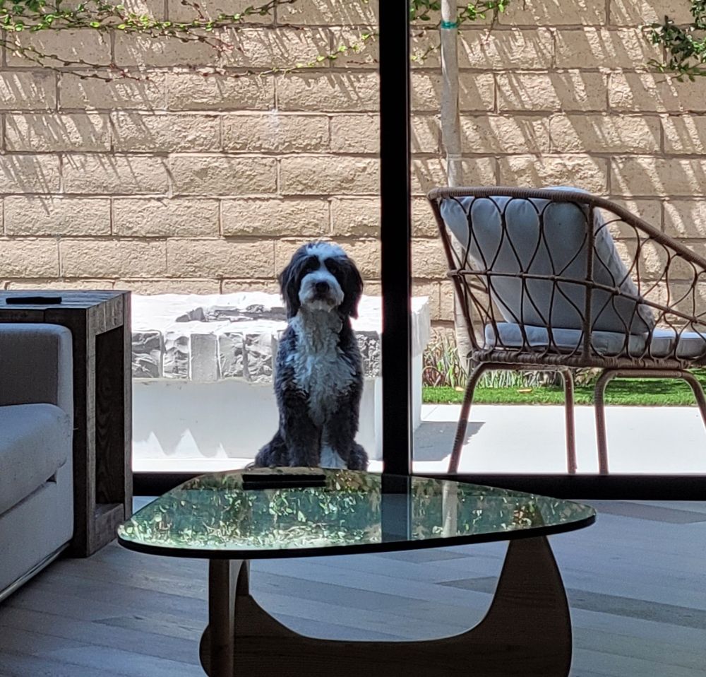 LIGHTNING BOLT CARPET & UPHOLSTERY CLEANING 190 Photos & 125 Reviews