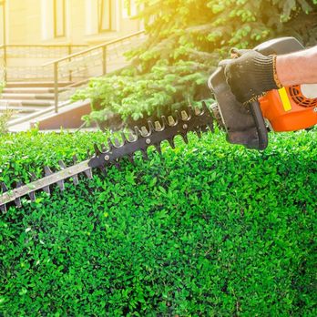 Pacific Diligent Services - Expert hedge trimming services - Pressure Washers Near Me Pacific Diligent Services - Expert hedge trimming services - Pressure Washers Near Me