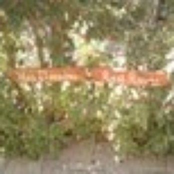 Maravilla Gardens - More signs - Venues & Event Spaces Near Me - Camarillo, California Maravilla Gardens - More signs - Venues & Event Spaces Near Me - Camarillo, California