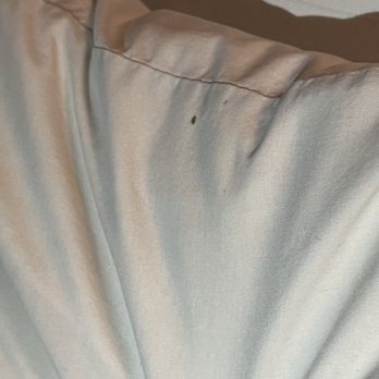 Mona Lisa Motel - Bugs - Hotels Near Me - Camden, South Carolina