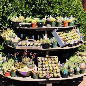 Filoli - Botanical Gardens Near Me - Woodside, California