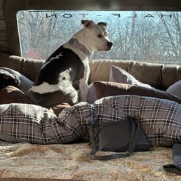 Chillin in the camper with friends Chillin in the camper with friends