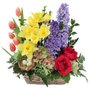 Photo of Two Friends Florist
