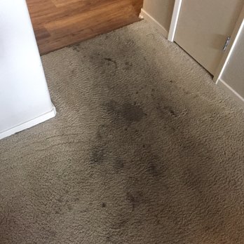 Champs Carpet - Before 2 - Carpet Cleaning Near Me Champs Carpet - Before 2 - Carpet Cleaning Near Me