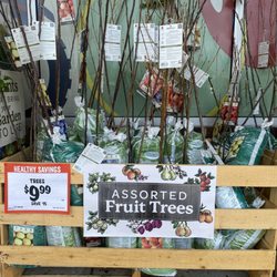 Sprouts Farmers Market - Apple, peach and other fruit trees on sale.
