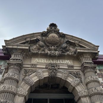 Belle Isle Aquarium - Entrance - Aquariums Near Me - Detroit, Michigan Belle Isle Aquarium - Entrance - Aquariums Near Me - Detroit, Michigan
