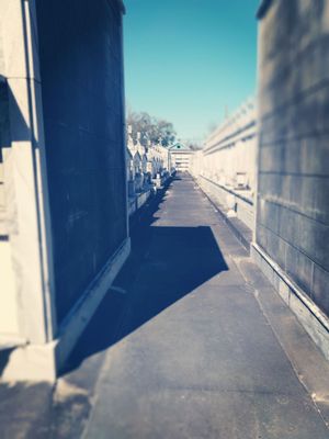 St Vincent De Paul Cemetery by null