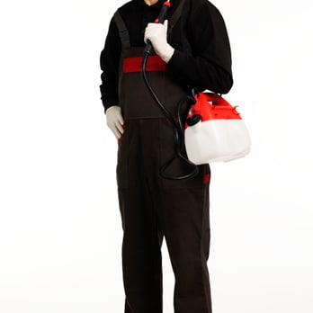 Ace Pest Control - Pest Control Near Me - Las Vegas, Nevada