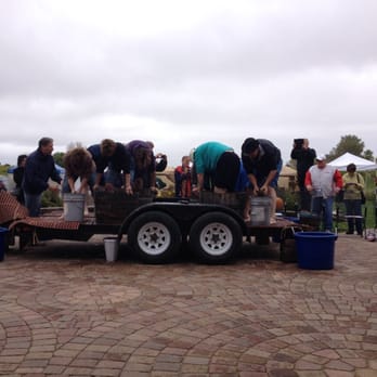 Millner Heritage Vineyard & Winery - Having a Grape Stomp Competition during their big Octoberfest Event!! Winner gets bottle of wine! - Wine Tours Near Me - Kimball, Minnesota Millner Heritage Vineyard & Winery - Having a Grape Stomp Competition during their big Octoberfest Event!! Winner gets bottle of wine! - Wine Tours Near Me - Kimball, Minnesota