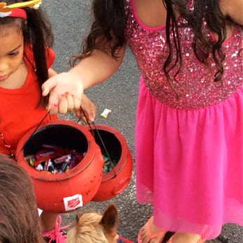 Manoa Valley - Mochi makes some friends at the Manoa Christmas parade - Local Flavor Near Me