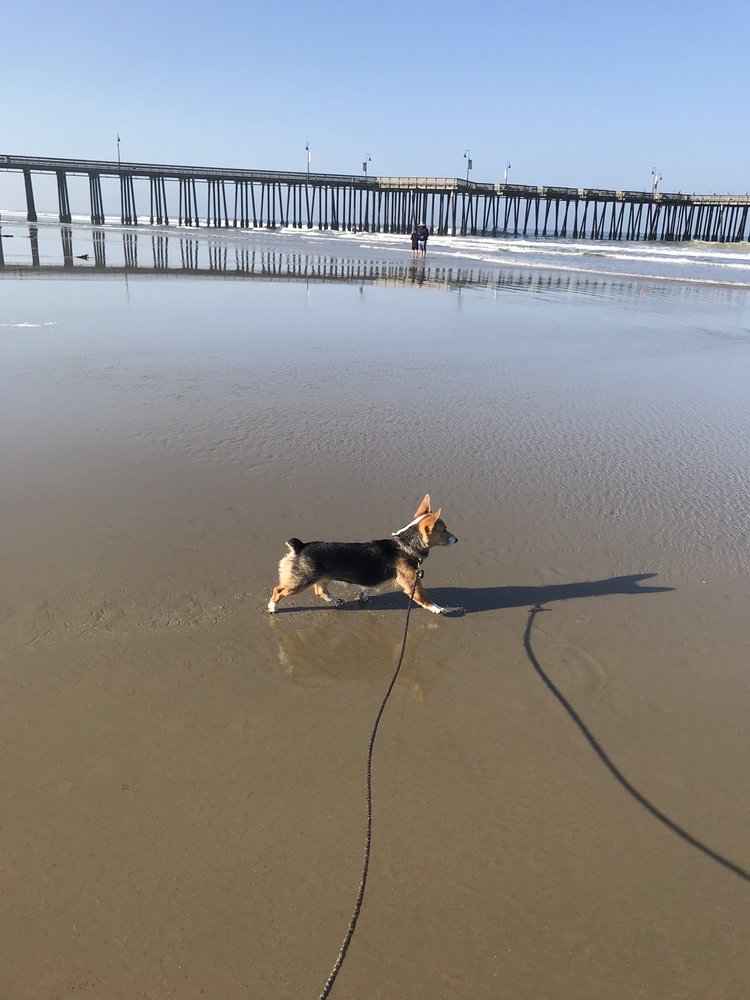 TIPTON BURGER Updated August 2024 31 Photos & 21 Reviews 398 S