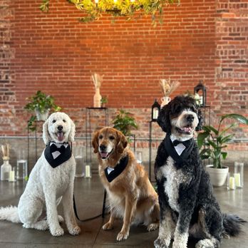 Industry - Venues & Event Spaces Near Me - Indianapolis, Indiana