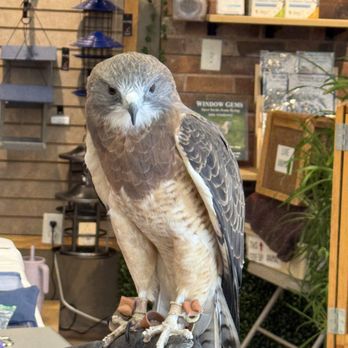 Wild Birds Unlimited - Bird Shops Near Me - Albuquerque, New Mexico Wild Birds Unlimited - Bird Shops Near Me - Albuquerque, New Mexico