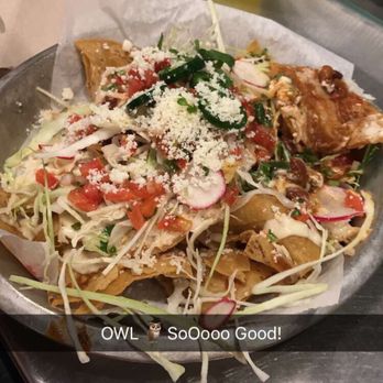 OWL - Mexican Near Me - Royal Oak, Michigan OWL - Mexican Near Me - Royal Oak, Michigan