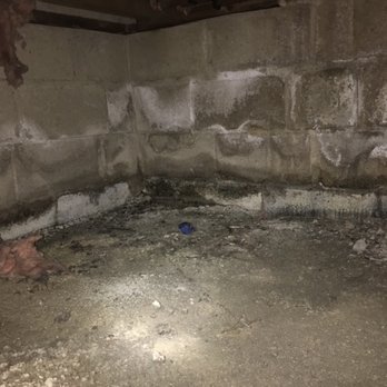 American Eagle Foundation Repair and Waterproofing Experts - Before - Waterproofing Near Me - Stevensville, Maryland