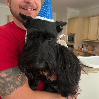 POOP 911 - Fort Worth - Rudy! He is our POOP 911 mascot. He loves long walks in the neighborhood, excessive amounts of treats and hanging out with his family. - Pet Waste Removal Near Me