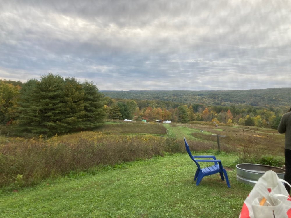 RUSTIC RIDGE VIEW FARM - Updated January 2026 - 43 Photos & 13 Reviews ...