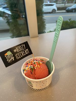 Tipsy Scoop Nashville by null