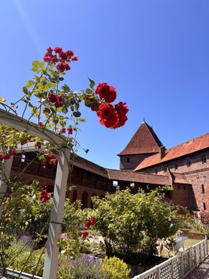 Malbork Castle by null