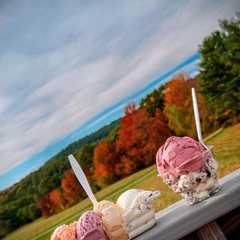 Round Top Ice Cream Stand - A Flight and a Two Scoop - Ice Cream & Frozen Yogurt Near Me - Damariscotta, Maine Round Top Ice Cream Stand - A Flight and a Two Scoop - Ice Cream & Frozen Yogurt Near Me - Damariscotta, Maine