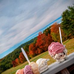 Round Top Ice Cream Stand - A Flight and a Two Scoop