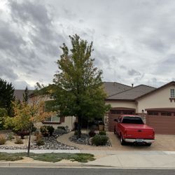 Nevada Roots - Before