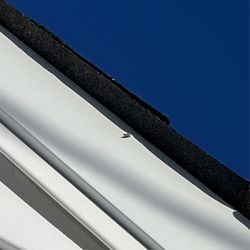 New Creation Builders - Where the mail came through the trim.