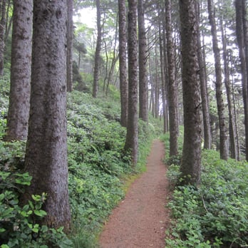 Devil's Churn - Devil's Churn loop path - Parks Near Me - Yachats, Oregon