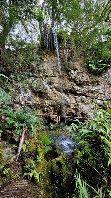 Cedar Lakes Woods and Gardens by null