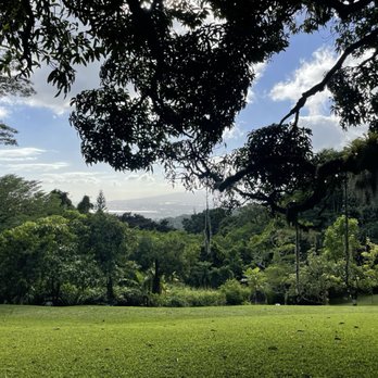 Experience Nutridge - Love the view - Performing Arts Near Me - Honolulu, Hawaii