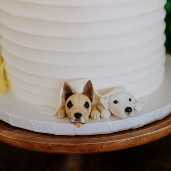 JennyWenny Cakes - Custom Cakes Near Me - San Diego, California JennyWenny Cakes - Custom Cakes Near Me - San Diego, California