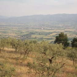 Campeggio Fontemaggio Camping