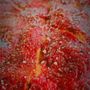 Photo of Chicago Pizza And Pasta