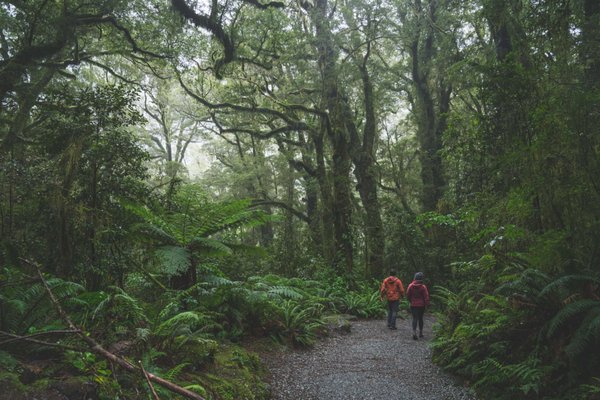 Fiordland Lodge Te Anau by null