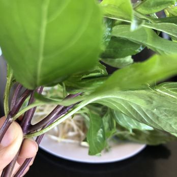 Pho Lovers - Vietnamese Near Me - Westminster, California Pho Lovers - Vietnamese Near Me - Westminster, California