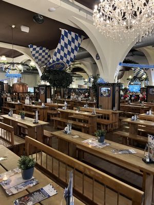Hofbräu by null