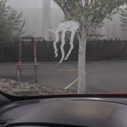 Bird poop - untouched