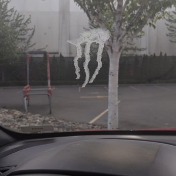 Ultra Sonic Car Wash - Bird poop - untouched - Car Wash Near Me - Bellerose, New York